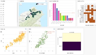 Local Perspective Map View